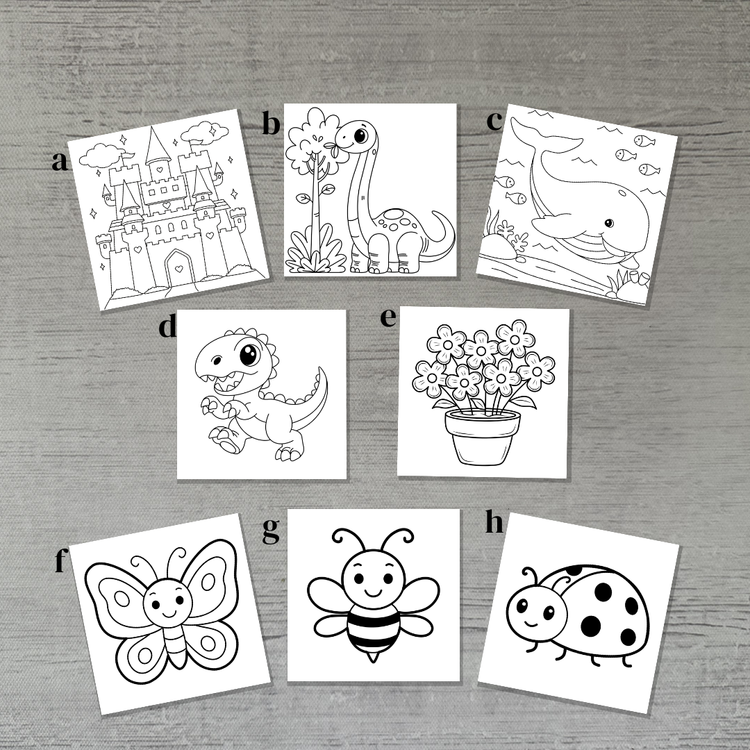 Mix and Match Dry Erase Set