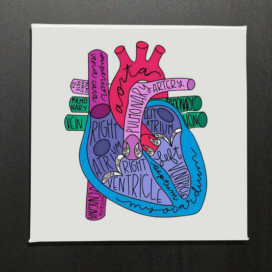 DIAGRAM OF THE HEART - 2.5” MAGNET
