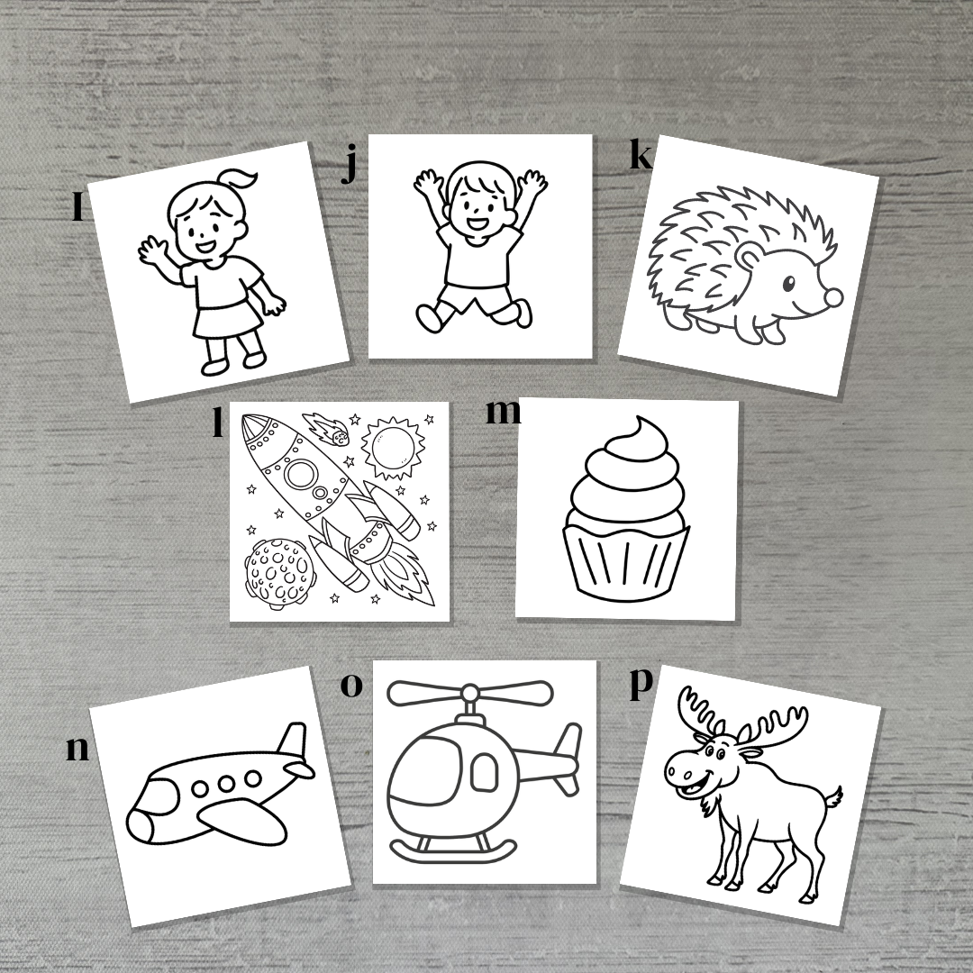 Mix and Match Dry Erase Set