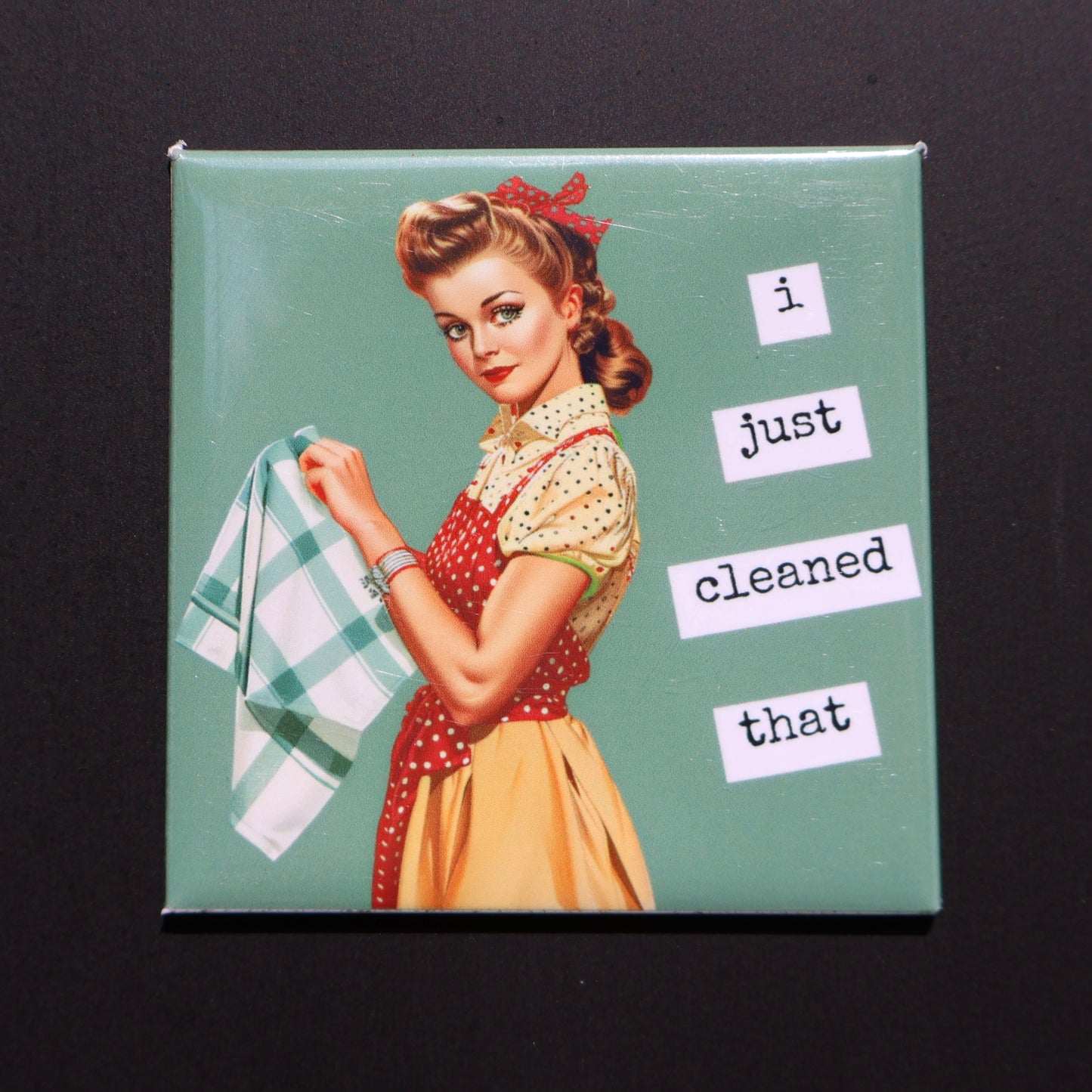 I JUST CLEANED THAT - 2.5” MAGNET